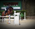 P1150196