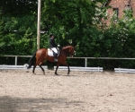 cimg1103