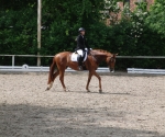 cimg1141