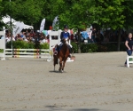 cimg1183