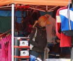 DSC01377
