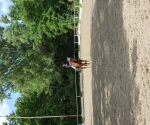 20190608_155120