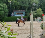 20190609_152948