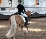 IMG-20190609-WA0050