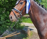 IMG-20190612-WA0013
